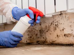 Asbestos and Lead Testing During Mold Inspection in South Roxana, IL